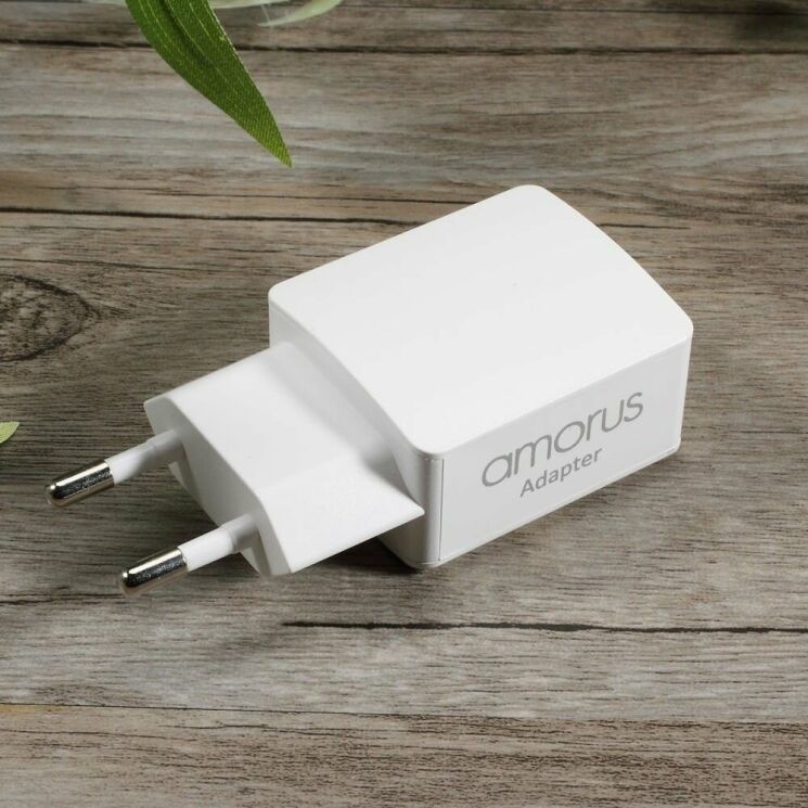 Мережевий зарядний пристрій AMORUS Travell Adapter (2.1А / 2 USB) + кабель microUSB: фото 8 з 15