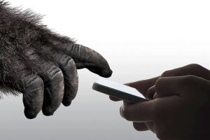 Що таке Gorilla Glass і чим відрізняються його версії: факти про захисне скло для екранів - читати