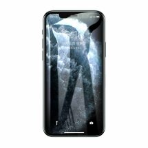 Защитное стекло ROCK 5D Full Glue для Apple iPhone 11 Pro Max - Black: фото 1 из 16