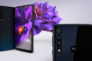 Обзор Motorola One Macro: бюджетный смартфон с для фотографирования цветов и насекомых - читать