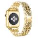 Ремінець Deexe Diamond для Apple Watch 42 (Series 10) / 41 / 40 / SE 40 / 38 - Gold (251817F). Фото 1 з 5