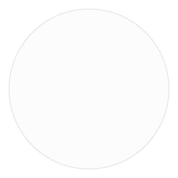 Защитное стекло Deexe Screen Protector Watch для Xiaomi Watch 2: фото 2 из 2
