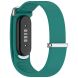 Ремінець для годинника Deexe Classic Fit для Google Fitbit Air - Green (258016G). Фото 3 з 13