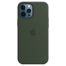 Оригинальный чехол MagSafe Silicone Case для Apple iPhone 12 Pro Max (MHLC3ZE/A) - Cypress Green: фото 1 из 5