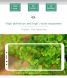 Защитное стекло MOFI 3D Curved Edge для Xiaomi Mi 6X / Mi A2 - Black (149924B). Фото 3 из 8
