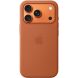 Оригінальний чохол Silicone Case with MagSafe для iPhone 17 Pro (MGFJ4) - Terra Cotta (403236TC). Фото 2 з 4