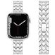 Ремешок KALEBOL Diamond для Apple Watch 42 (Series 10) / 41 / 40 / SE 40 / 38 - Silver (345127S). Фото 2 из 7