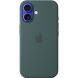 Оригинальный чехол Silicone Case with MagSafe для iPhone 16 (MYY83) - Lake Green (366447G). Фото 1 из 6