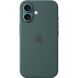 Оригинальный чехол Silicone Case with MagSafe для iPhone 16 (MYY83) - Lake Green (366447G). Фото 2 из 6