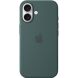 Оригинальный чехол Silicone Case with MagSafe для iPhone 16 (MYY83) - Lake Green (366447G). Фото 4 из 6