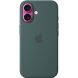 Оригинальный чехол Silicone Case with MagSafe для iPhone 16 (MYY83) - Lake Green (366447G). Фото 3 из 6