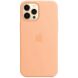 Оригинальный чехол MagSafe Silicone Case для Apple iPhone 12 Pro Max (MK073) - Cantaloupe (253492C). Фото 2 из 4