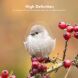 Комплект защитных стекол (2шт) на камеру ENKAY 9H Lens Glass Set для Apple iPhone 16e (376448). Фото 5 из 6