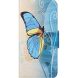 Чехол-книжка Deexe Color Wallet для Motorola Moto E20 / E40 - Blue Butterfly (288032D). Фото 2 из 7