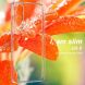 Силиконовый чехол IMAK UX-5 Series для Samsung Galaxy S25 Plus (S936) - Transparent (371931T). Фото 3 из 8
