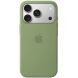Захисний чохол Copiex Silicone Case with MagSafe для Apple iPhone 17 Pro Max - Light Moss (402844LG). Фото 1 из 2