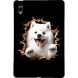 Защитный чехол Deexe Art Style для Samsung Galaxy Tab S12 Plus - Samoyed (436010E). Фото 1 из 4