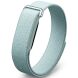 Ремешок для часов Deexe Vigor Band для Google Fitbit Air - Mist Color (258013MG). Фото 1 из 5