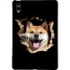 Защитный чехол Deexe Art Style для Samsung Galaxy Tab S12 Plus - Shiba Inu (436010F). Фото 1 из 4