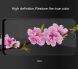 Захисне скло IMAK Pro+ Full Coverage для ASUS Zenfone 5 (ZE620KL) / 5z (ZS620KL) (147902). Фото 8 з 8