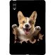 Защитный чехол Deexe Art Style для Samsung Galaxy Tab S12 Plus - Corgi (436010H). Фото 1 из 4