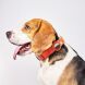 Ошейник Deexe Track Collar для собак с чехлом Apple AirTag / AirTags 2 - Orange (274034O). Фото 2 из 9