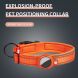 Ошейник Deexe Track Collar для собак с чехлом Apple AirTag / AirTags 2 - Orange (274034O). Фото 3 из 9