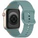Ремінець Deexe Galaxy Strap для Apple Watch 46 / 45 / 44 / SE 44 / 42 (Series 1-3) / Ultra / Ultra 2 - Pine Green (364504DG). Фото 1 з 7