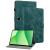 Захисний чохол Deexe Cute Tiger для OPPO Pad SE - Green: фото 1 з 6