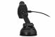 Автомобільний тримач з бездротовою зарядкою 2E Car Windsheild Wireless Charger, 10W - Black (981071B). Фото 6 з 8