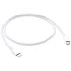 Оригінальний кабель Apple Thunderbolt 3 Type-C to Type-C (0.8m) MQ4H2 - White (896239W). Фото 1 з 3