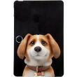 Захисний чохол Deexe Animal Series для OPPO Pad SE - Harrier Beagle (385406A)