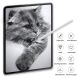 Антиблікова плівка Deexe Matte Film для Samsung Galaxy Tab S9 Plus / S10 Plus (X810/816/820/826) (332803). Фото 3 з 10