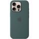 Оригинальный чехол Silicone Case with MagSafe для Apple iPhone 16 Pro (MYYR3) - Lake Green (366254G). Фото 2 из 5