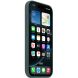 Оригинальный чехол Silicone Case with MagSafe для Apple iPhone 16 Pro (MYYR3) - Lake Green (366254G). Фото 5 из 5
