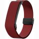 Ремешок для часов Reframe Magnetic Clasp для Google Fitbit Air - Wine Red (258007WR). Фото 1 из 4