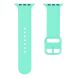 Ремінець UniCase Silicone Band для Apple Watch 42 (Series 10) / 41 / 40 / SE 40 / 38 - Light Green (251857LG). Фото 3 з 7