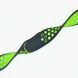Ремінець Deexe Dot Color для Samsung Watch Active / Active 2 40mm / Active 2 44mm - Black / Green (223104H). Фото 2 з 5