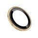 Захисне скло Deexe Camera Lens Frame Glass для Samsung Galaxy Tab S9 (X710/716) - Gold (333043F). Фото 2 з 4