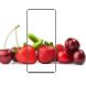 Защитное стекло MOCOLO 3D Curved Full Size для Motorola Edge 50 / 50 Pro / 60 / 60 Pro / 60 Fusion - Black (381702B). Фото 5 из 8