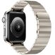 Ремінець Deexe Stainless Steel Mag для Apple Watch 46 / 45 / 44 / SE 44 / 42 (Series 1-3) / Ultra / Ultra 2 - Starlight (371816SL). Фото 1 з 6