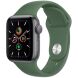 Оригинальный ремешок Sport Band для Apple Watch 42 (Series 10) / 41 / 40 / SE 40 / 38 (MKU73) - Clover (304812G). Фото 1 из 3