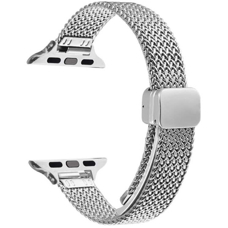 Ремінець Deexe Milanese Band для Apple Watch 42 (Series 10) / 41 / 40 / SE 40 / 38 - Silver: фото 1 з 6