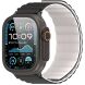 Ремешок DUX DUCIS SD Series для Apple Watch 46 / 45 / 44 / SE 44 / 42 (Series 1-3) / Ultra / Ultra 2 - Black / Starlight (371817BS). Фото 2 из 10