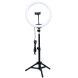 Комплект блоггера RTAKO ZJ-ZBT01 Live Streaming Stand - Black (981689B). Фото 1 из 7