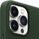 Оригинальный чехол Leather Case with MagSafe для Apple iPhone 13 Pro (MM1G3ZE/A) - Sequoia Green (280580G). Фото 4 из 5