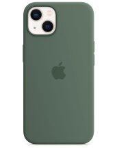 Оригинальный чехол Silicone Case with MagSafe для Apple iPhone 13 (MN633) - Eucalyptus: фото 1 из 3
