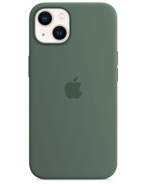 Оригинальный чехол Silicone Case with MagSafe для Apple iPhone 13 (MN633) - Eucalyptus: фото 1 из 3