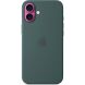 Оригинальный чехол Silicone Case with MagSafe для iPhone 16 Plus (MYYH3) - Lake Green (360693G). Фото 3 из 5