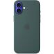 Оригинальный чехол Silicone Case with MagSafe для iPhone 16 Plus (MYYH3) - Lake Green (360693G). Фото 2 из 5